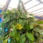wpid-img_20150825_111935.jpg